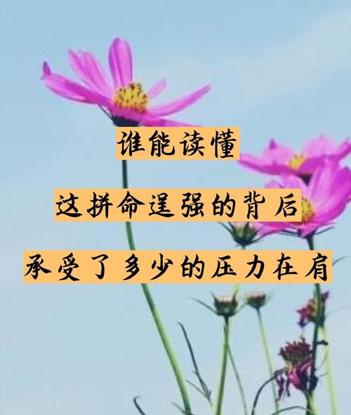 87815这个世界上,并不是每个人都懂得爱自己! 87815这个世界上,并不是每个人都懂得爱自己!