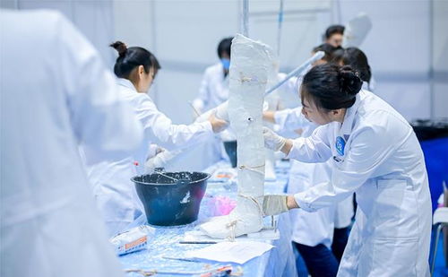 竞技场上的技艺较量人竞显身手,同台拼技能 竞技场上的技艺较量人竞显身手,同台拼技能