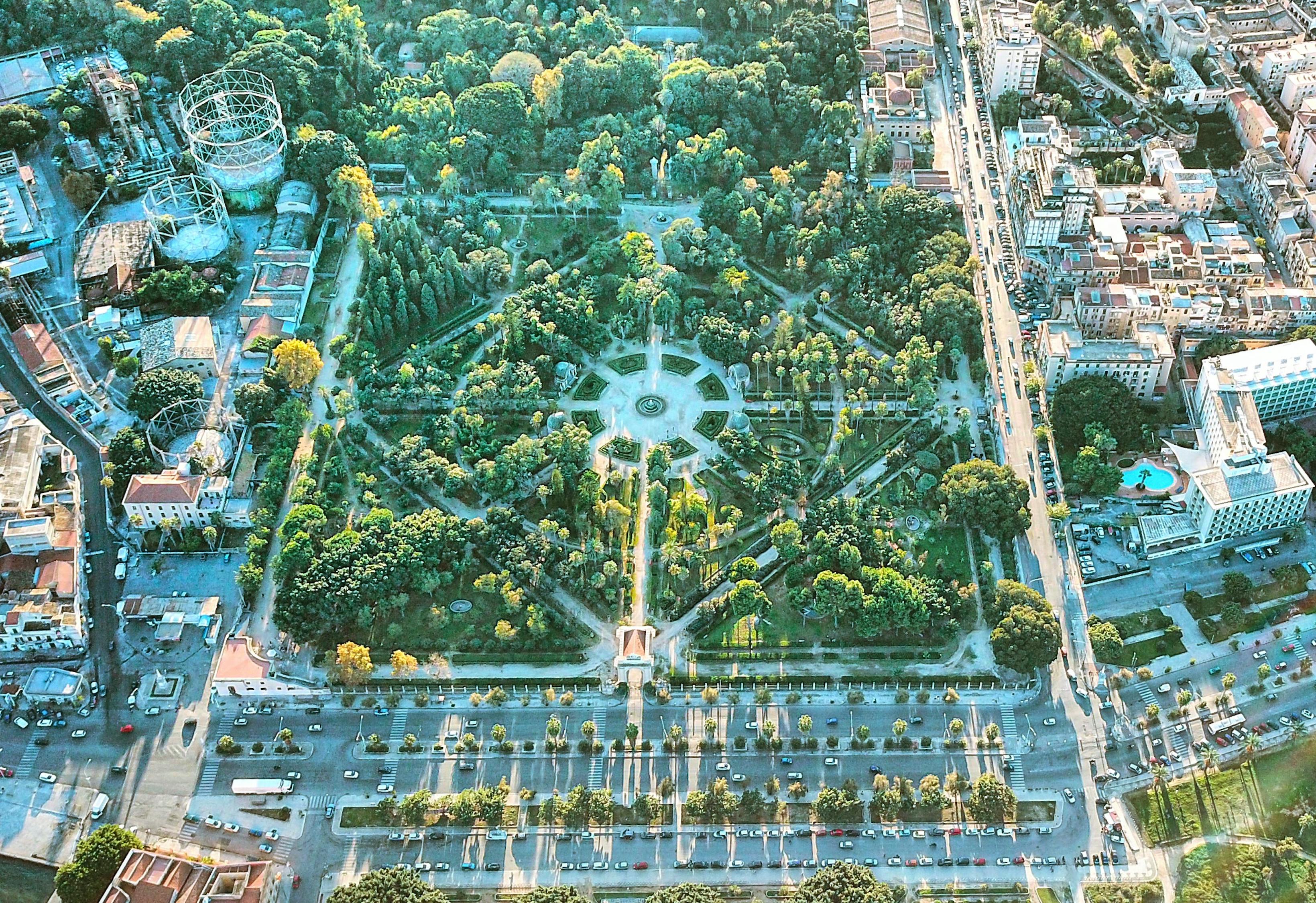 界首疫情最新消息，共同守护我们的健康家园